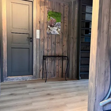 Lt13 - Trysil- Jakt - Langrenn - Alpin - Snoscooter Apartman Ljordalen