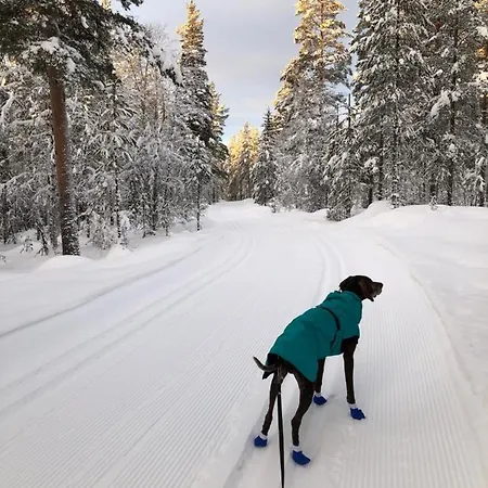 Lt13 - Trysil- Jakt - Langrenn - Alpin - Snoscooter Apartman