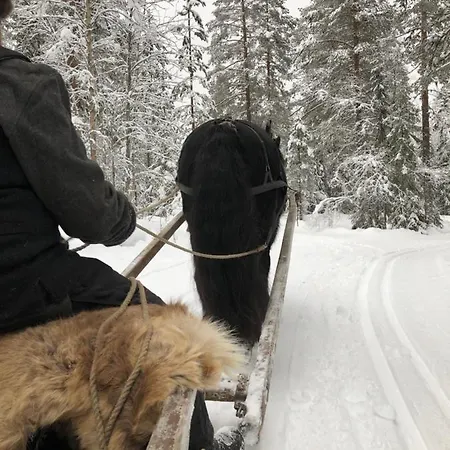Lt13 - Trysil- Jakt - Langrenn - Alpin - Snoscooter Apartman *