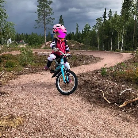 Lt13 - Trysil- Jakt - Langrenn - Alpin - Snoscooter Ljordalen