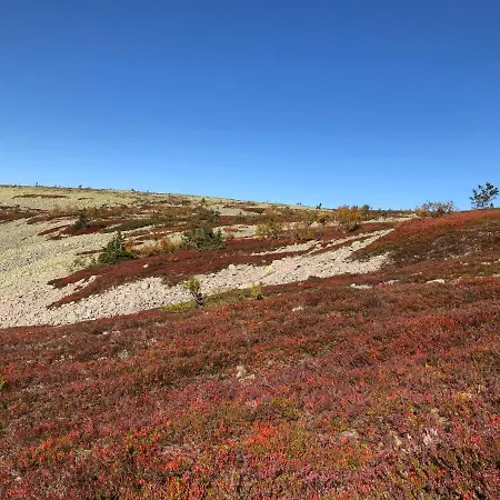 Lt13 - Trysil- Jakt - Langrenn - Alpin - Snoscooter * Ljordalen