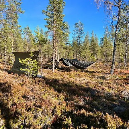 Lt13 - Trysil- Jakt - Langrenn - Alpin - Snoscooter * Ljordalen