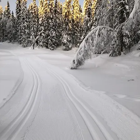 Lt13 - Trysil- Jakt - Langrenn - Alpin - Snoscooter Apartman