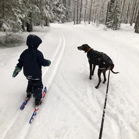 Apartman Lt13 - Trysil- Jakt - Langrenn - Alpin - Snoscooter